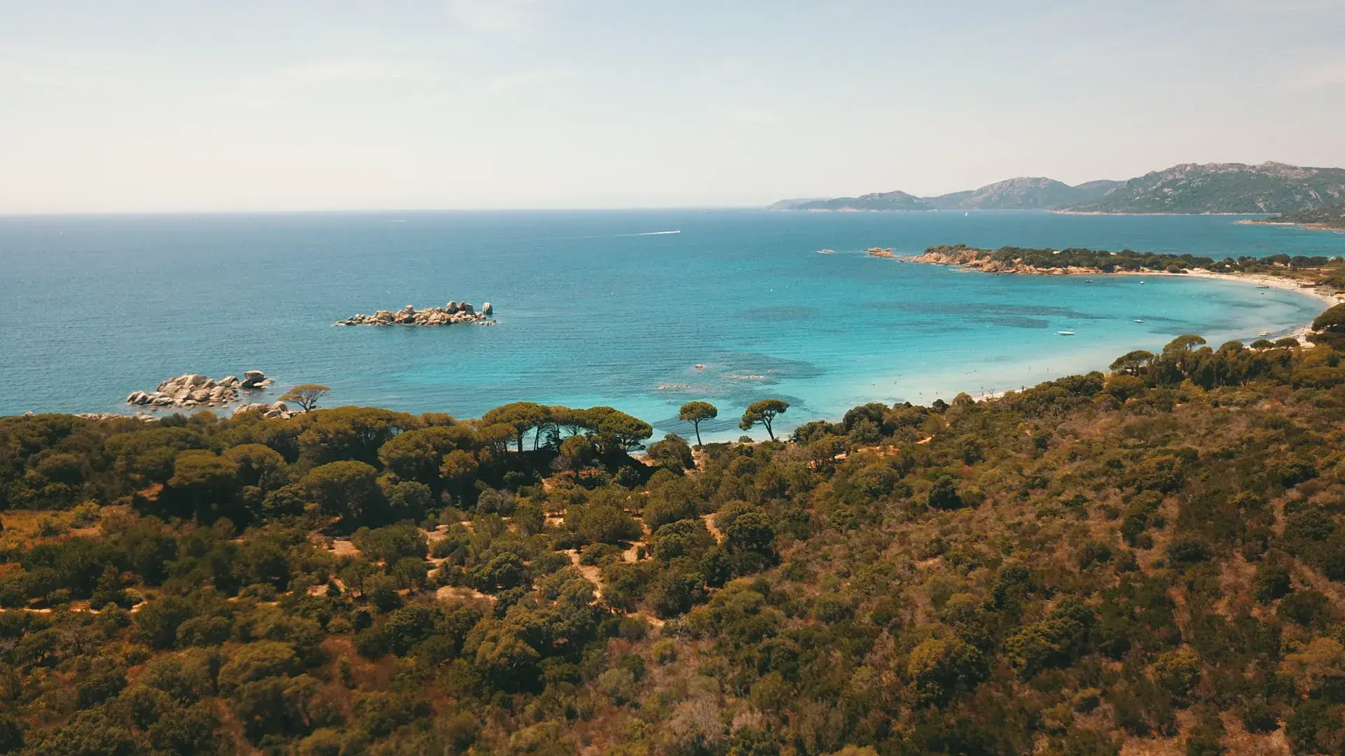 Plage de Palombaggia - sable doré, pins parasols et eaux turquoise en Corse du Sud