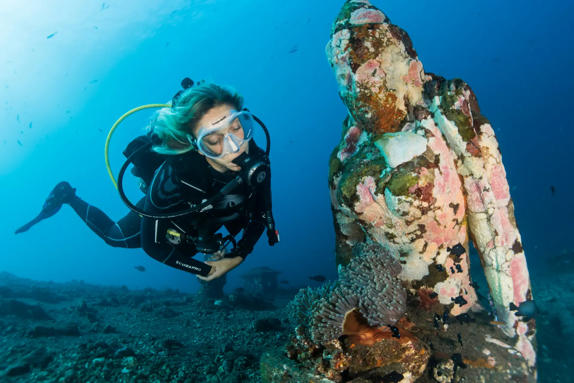 Plong&eacute;e et snorkeling aux Cerbicales